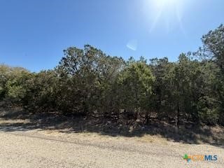 1050 Happy Hollow Dr, New Braunfels TX, 78132 land for sale