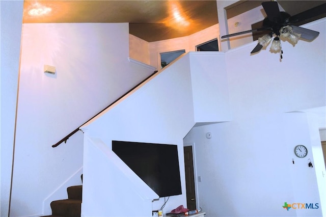staircase featuring ceiling fan