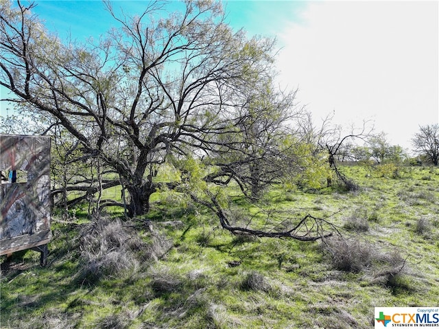 Listing photo 2 for TBD Prairie Dell Road, Salado TX 76571