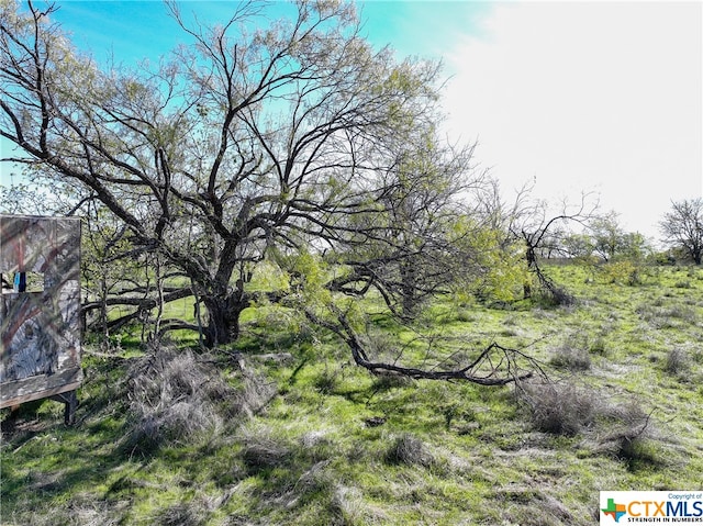 TBD Prairie Dell Road, Salado, TX 76571 - photo 2