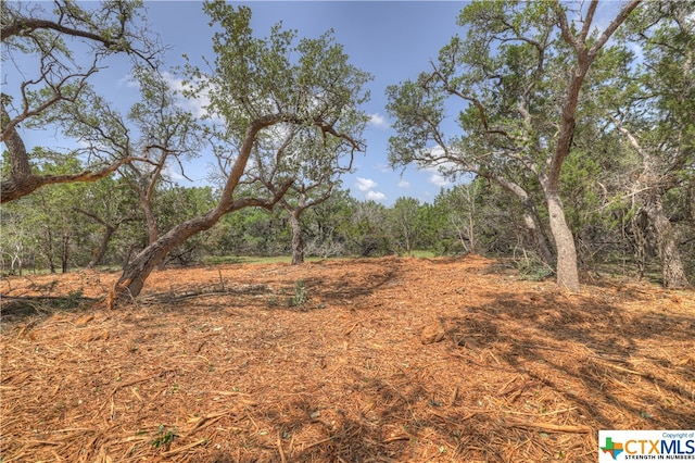 Listing photo 3 for 1158 Madrone Rd, Fischer TX 78623