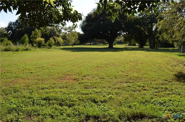 TBD Glen Cove Dr, Seguin, TX 78155 - photo 4