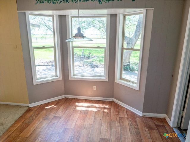 spare room with a healthy amount of sunlight, wood finished floors, and baseboards