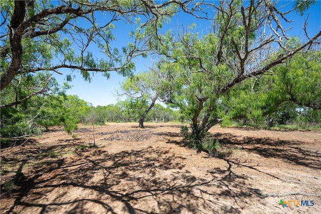 TBD County Rd 171, Nixon, TX 78140 - photo 13