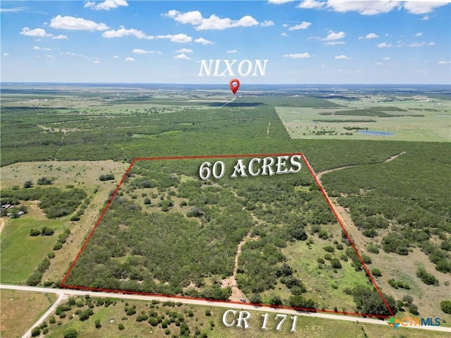 TBD County Rd 171, Nixon, TX 78140 - photo 1