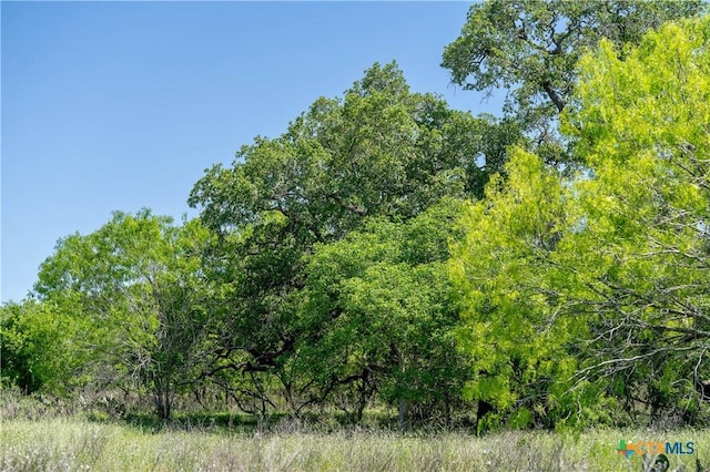 TBD County Rd 171, Nixon, TX 78140 - photo 26