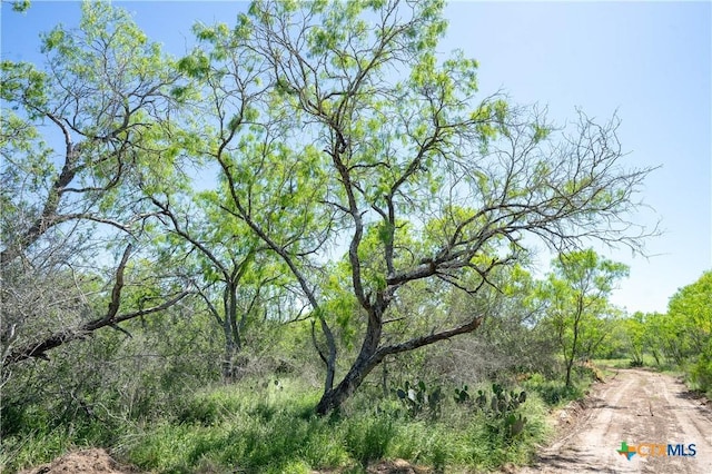 TBD County Rd 171, Nixon, TX 78140 - photo 23