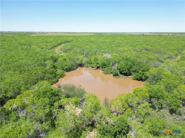 TBD County Rd 171, Nixon, TX 78140 - photo 32