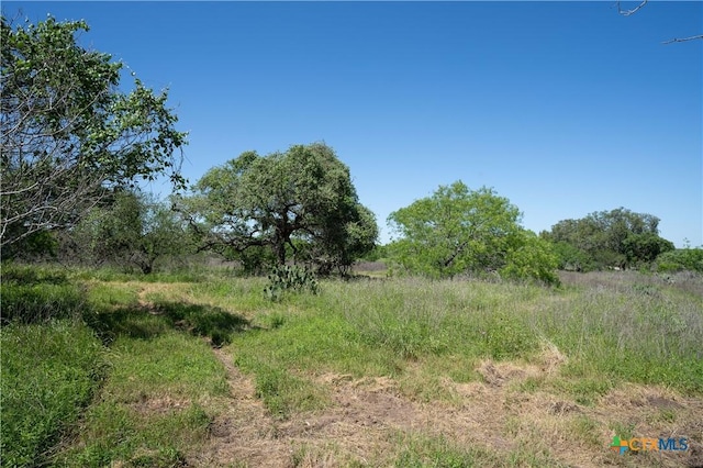 TBD County Rd 171, Nixon, TX 78140 - photo 15