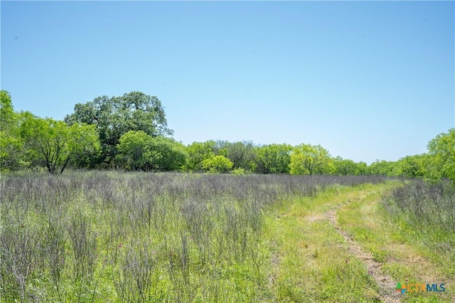 TBD County Rd 171, Nixon, TX 78140 - photo 24