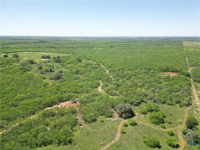 TBD County Rd 171, Nixon, TX 78140 - photo 21
