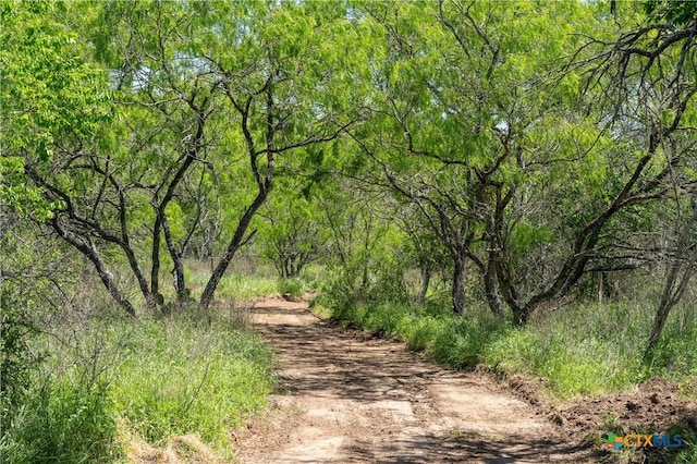 TBD County Rd 171, Nixon, TX 78140 - photo 12