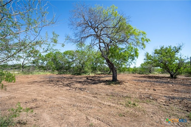 TBD County Rd 171, Nixon, TX 78140 - photo 4