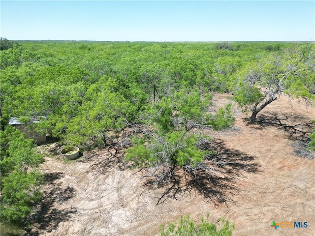 TBD County Rd 171, Nixon, TX 78140 - photo 30