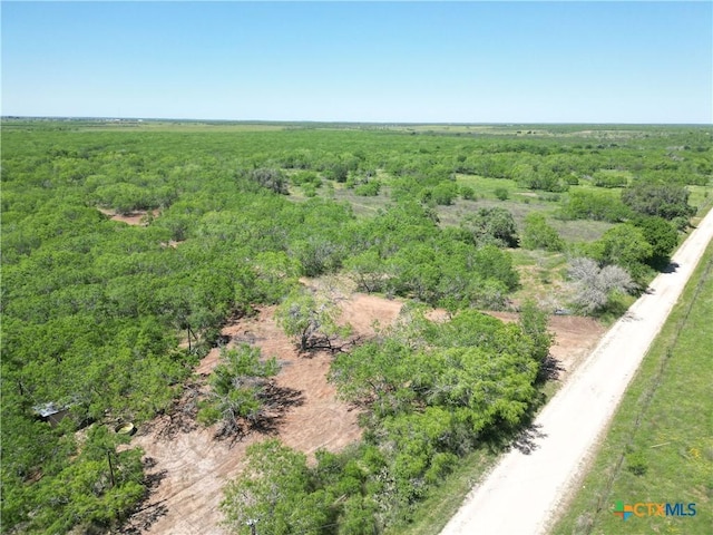 TBD County Rd 171, Nixon, TX 78140 - photo 29