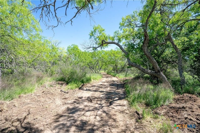 TBD County Rd 171, Nixon, TX 78140 - photo 11