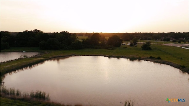 1145 Fawn Lake Dr, Bryan, TX 77808 - photo 47
