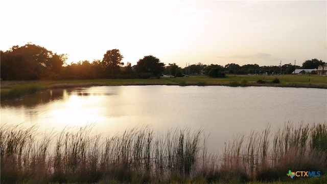 1145 Fawn Lake Dr, Bryan, TX 77808 - photo 4