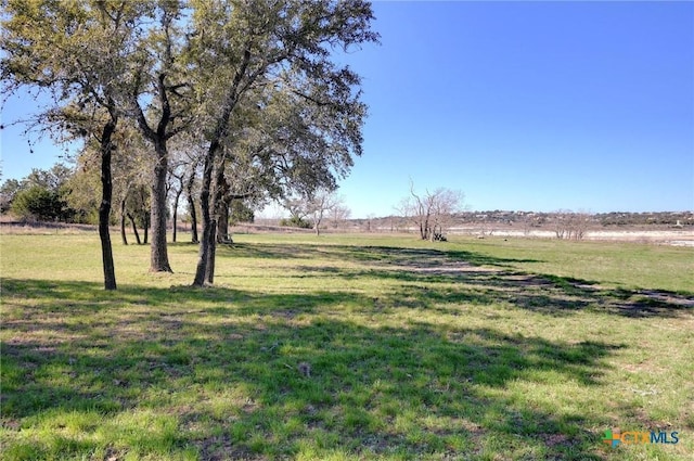 view of yard with a rural view