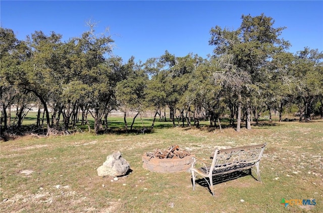 view of yard with an outdoor fire pit