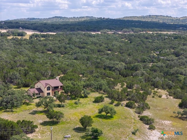 995 Cielo Springs Dr, Blanco, TX 78606 - photo 39