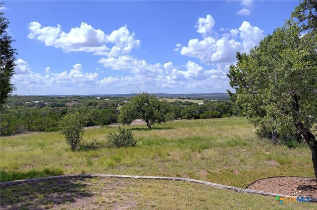 995 Cielo Springs Dr, Blanco, TX 78606 - photo 34