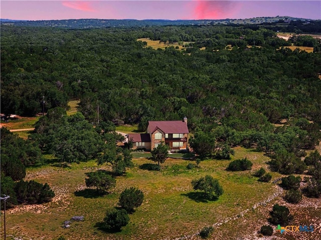 995 Cielo Springs Dr, Blanco, TX 78606 - photo 7