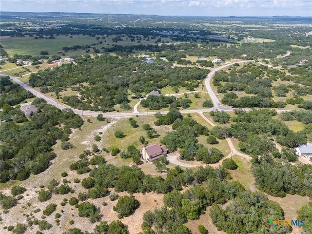 995 Cielo Springs Dr, Blanco, TX 78606 - photo 37