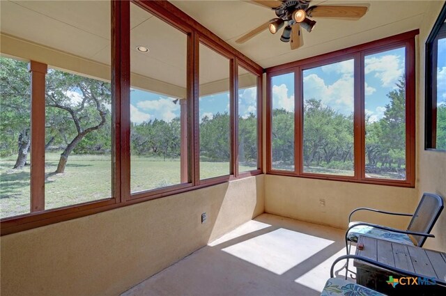 995 Cielo Springs Dr, Blanco, TX 78606 - photo 28