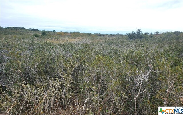 C Carabajal Rd, Seadrift, TX 77983