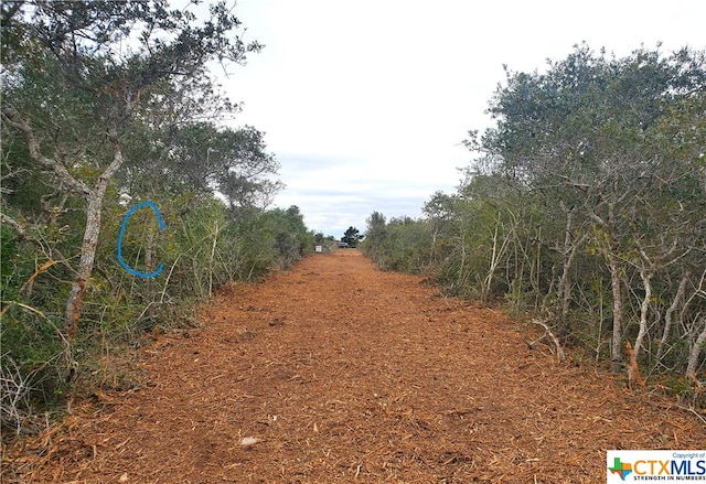 C Carabajal Rd, Seadrift, TX 77983