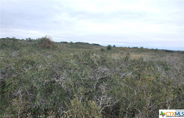 C Carabajal Rd, Seadrift, TX 77983