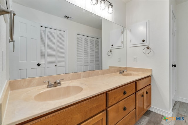 bathroom with vanity and wood-type flooring