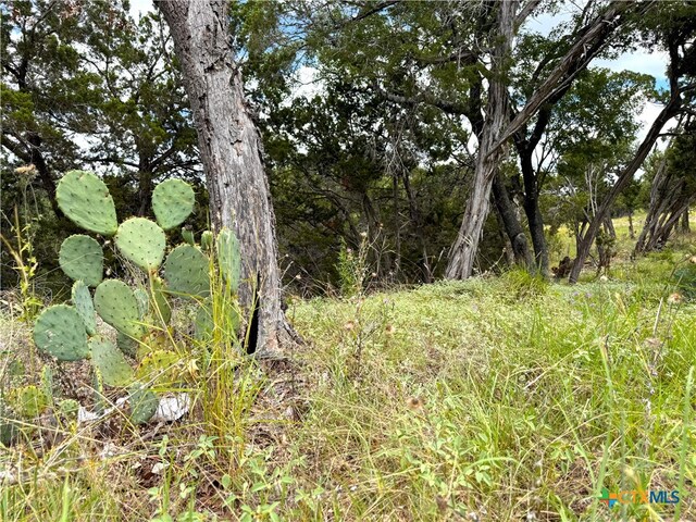 1220 Lakeside E Dr, Canyon Lake, TX 78133