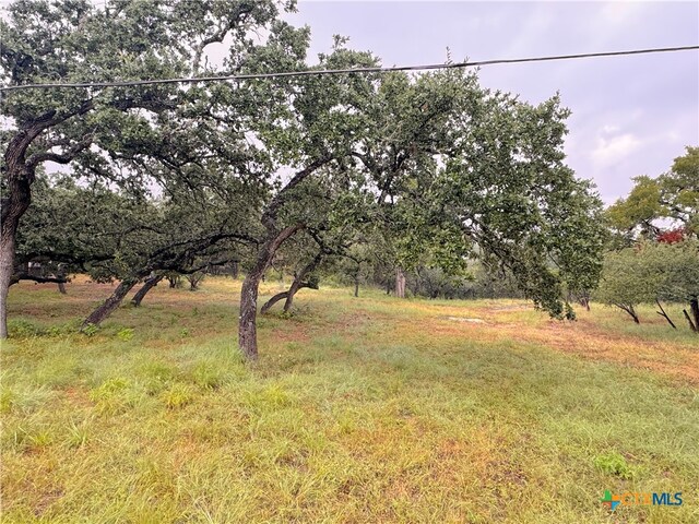 1220 Lakeside E Dr, Canyon Lake, TX 78133