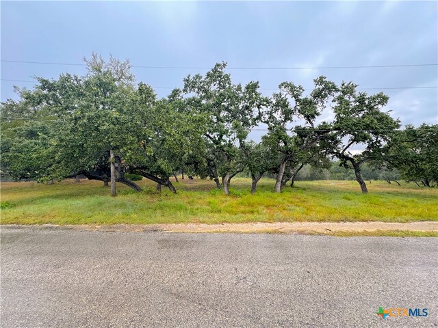 1220 Lakeside E Dr, Canyon Lake, TX 78133