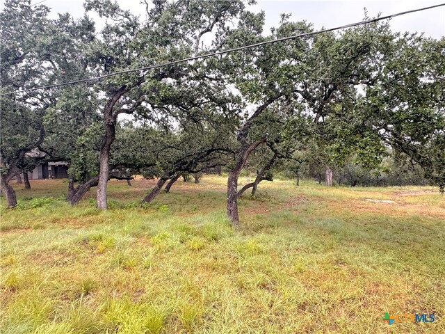 1220 Lakeside E Dr, Canyon Lake, TX 78133