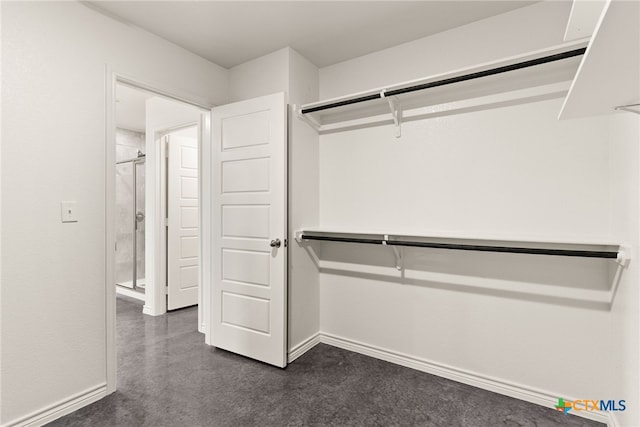 view of walk in closet