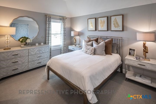 322 Dulce Vis, Boerne, TX 78006 - bedroom with carpet and vaulted ceiling