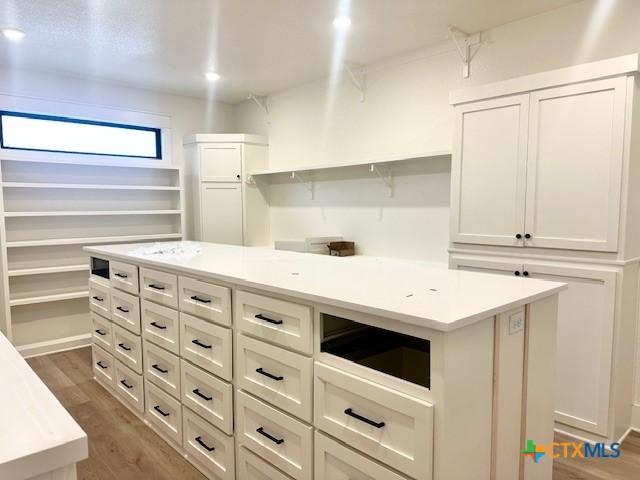 walk in closet featuring wood finished floors