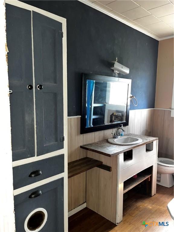 kitchen featuring wainscoting, wood finished floors, and crown molding