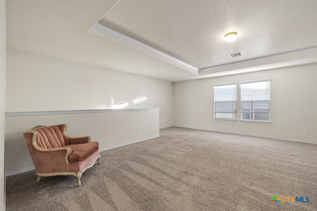 living area featuring a textured ceiling, a raised ceiling, and carpet