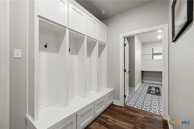 mudroom with dark wood-type flooring