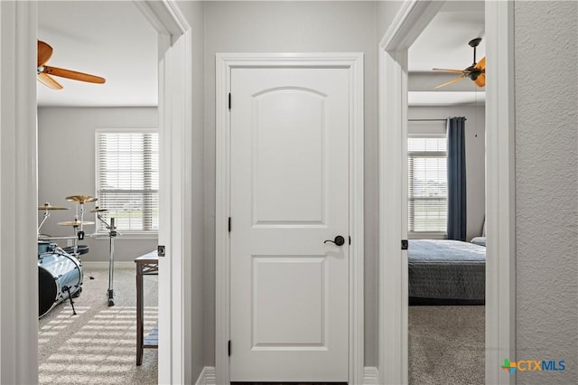 hall with carpet floors and plenty of natural light