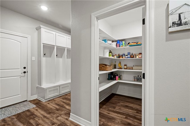 mudroom with dark hardwood / wood-style floors