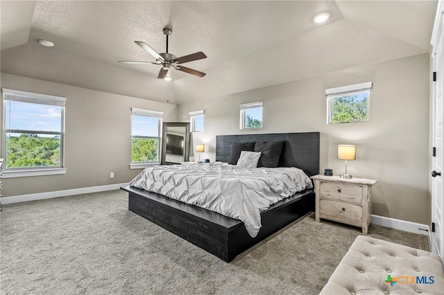 3644 Morgan Mill Rd, Kempner, TX 76539 - photo 8