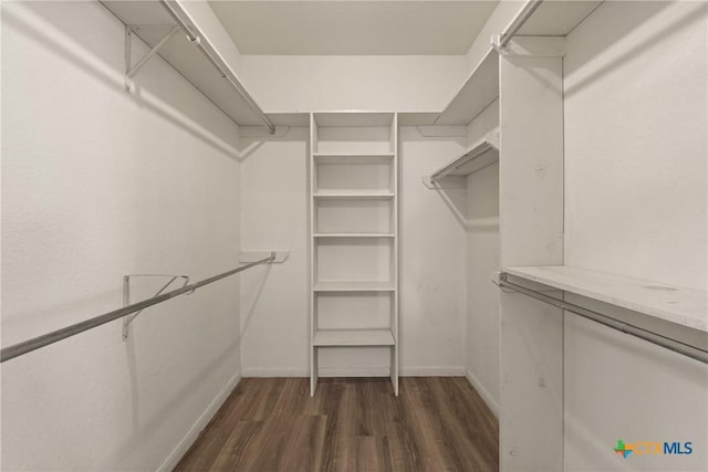 walk in closet with dark wood finished floors