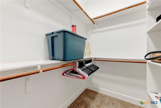 1040 Vista Dr, Salado, TX 76571 - walk in closet featuring carpet