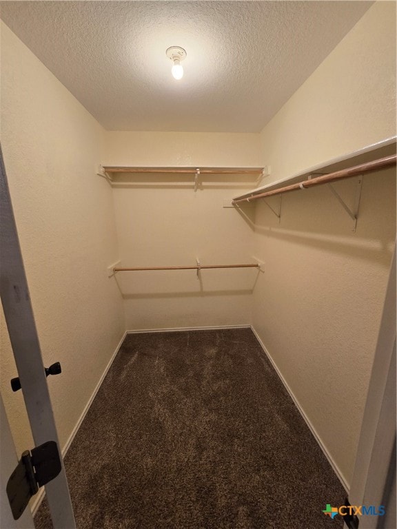 walk in closet featuring dark carpet