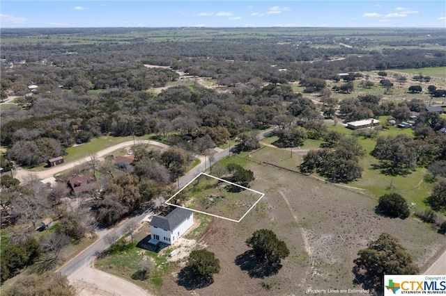 Listing photo 3 for 708 Baines St, Salado TX 76571